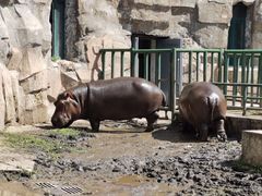 -哈尔滨北方森林动物园