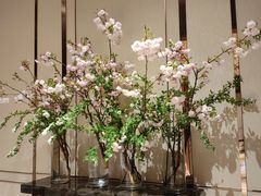 -彩丰楼·中餐厅(国家会展中心上海洲际店)