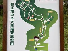 -都江堰中华大熊猫苑