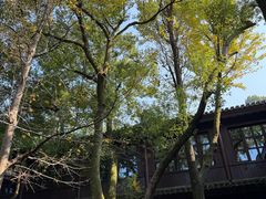 -杭州雅谷泉山庄酒店-餐厅