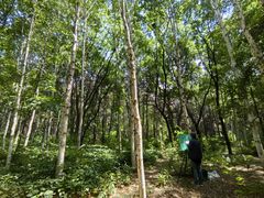 -长春市南湖公园