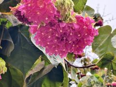 -厦门园林博览苑