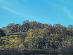 -塞罕坝国家级自然保护区