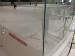 -TheRink大零溜冰场(IFS国金中心店)