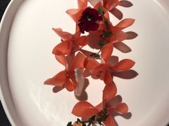 -荣公子创意菜