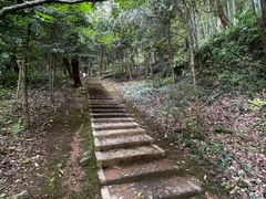 -上海佘山国家森林公园天马山园