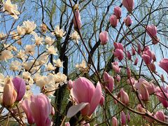 -大兴滨河森林公园