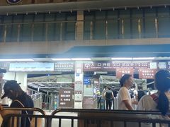 -武昌中华路码头(轮渡站)