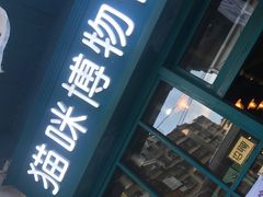 -猫咪博物馆(顶澳仔猫街店)