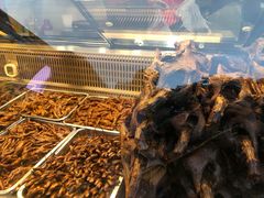 -张鸭子重庆特产卤味小吃(未来国际店)