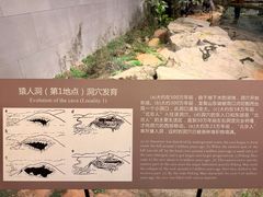 -北京周口店北京人遗址博物馆