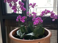 -瓦库茶馆17号(海汇港店)