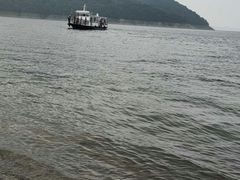 -庆岭迎宾园正宗活鱼馆