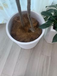 -HEYAN荷妍专业脱毛连锁机构