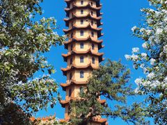 -正觉寺