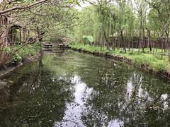 -溱湖国家湿地公园