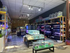 -三圣花乡旅游区