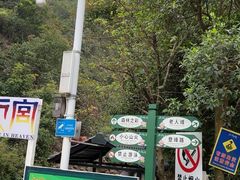 -南海湾森林生态园
