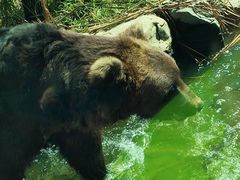 -北京野生动物园