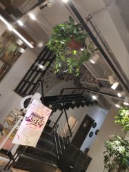 -米莱 Hair Salon 美髮