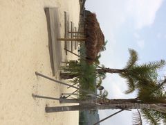 玉溪抚仙湖悦椿俱乐部-抚仙湖万达文华酒店