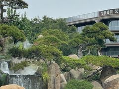 -罗红摄影艺术馆