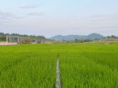 -光明小镇欢乐田园