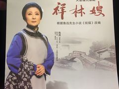 -合肥大剧院