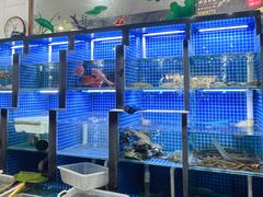 -金龙·打边炉(武进路店)