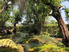 -Chom Cafe and Restaurant