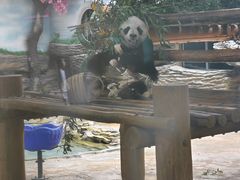 -西霞口神雕山野生动物世界