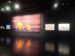 -罗红摄影艺术馆