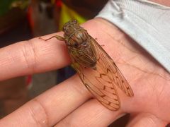 -将军关探险漂流