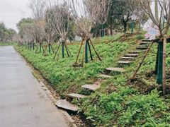 -上海杨姆庄园