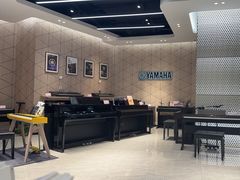 -知音艺术教育培训·钢琴培训·音乐培训(河西金鹰世界校区)