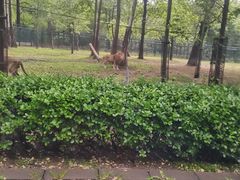 -秦皇岛野生动物园
