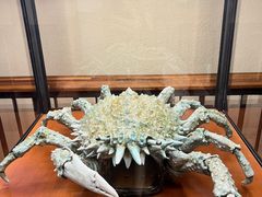 -斯福尔扎古堡