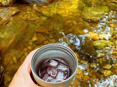 -素山寺森林公园