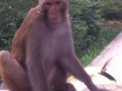 -黔灵山公园-南门售票处