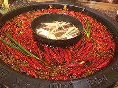 -蜀大侠火锅(建设路第五大道店)