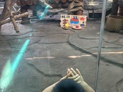 -泉州海丝野生动物世界