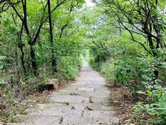 -杭州半山国家森林公园