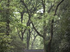 -灵谷景区