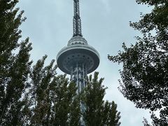-龙塔