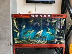 -肆月河豚·新淮扬(金融街店)