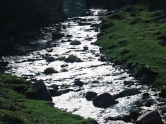 -芦芽山旅游度假区