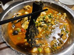 -老号尤兔头(幸福店)