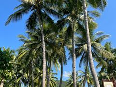 -三亚南山文化旅游区