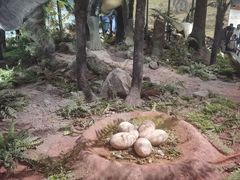 -湖南省地质博物馆