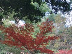 -四川大学(望江校区)